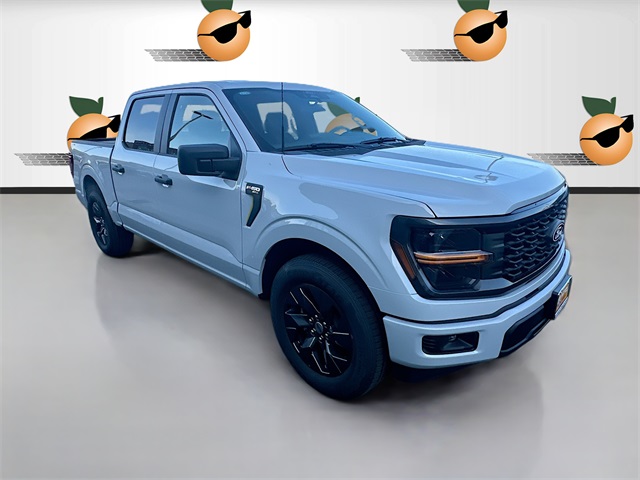 2025 Ford F-150 STX's photo