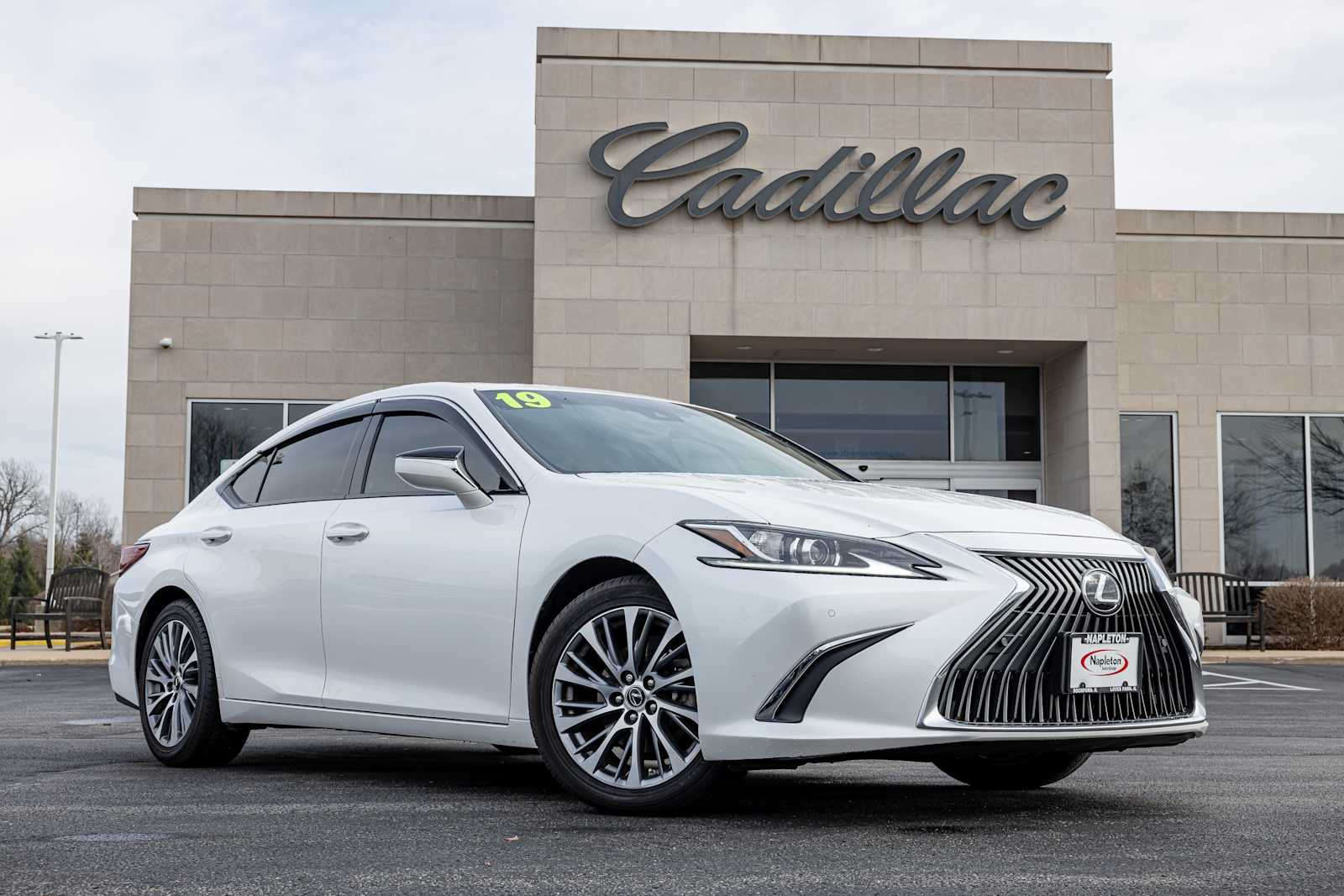 2019 Lexus ES 350's photo