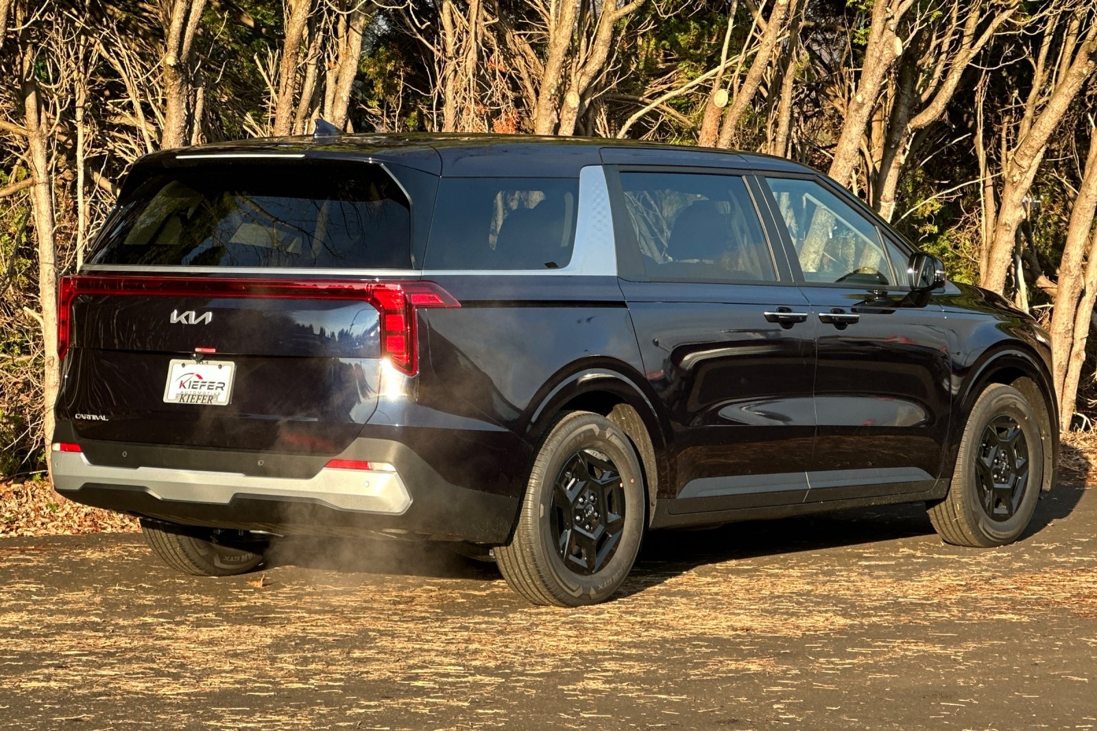 2026 Kia Carnival LXS photo 2
