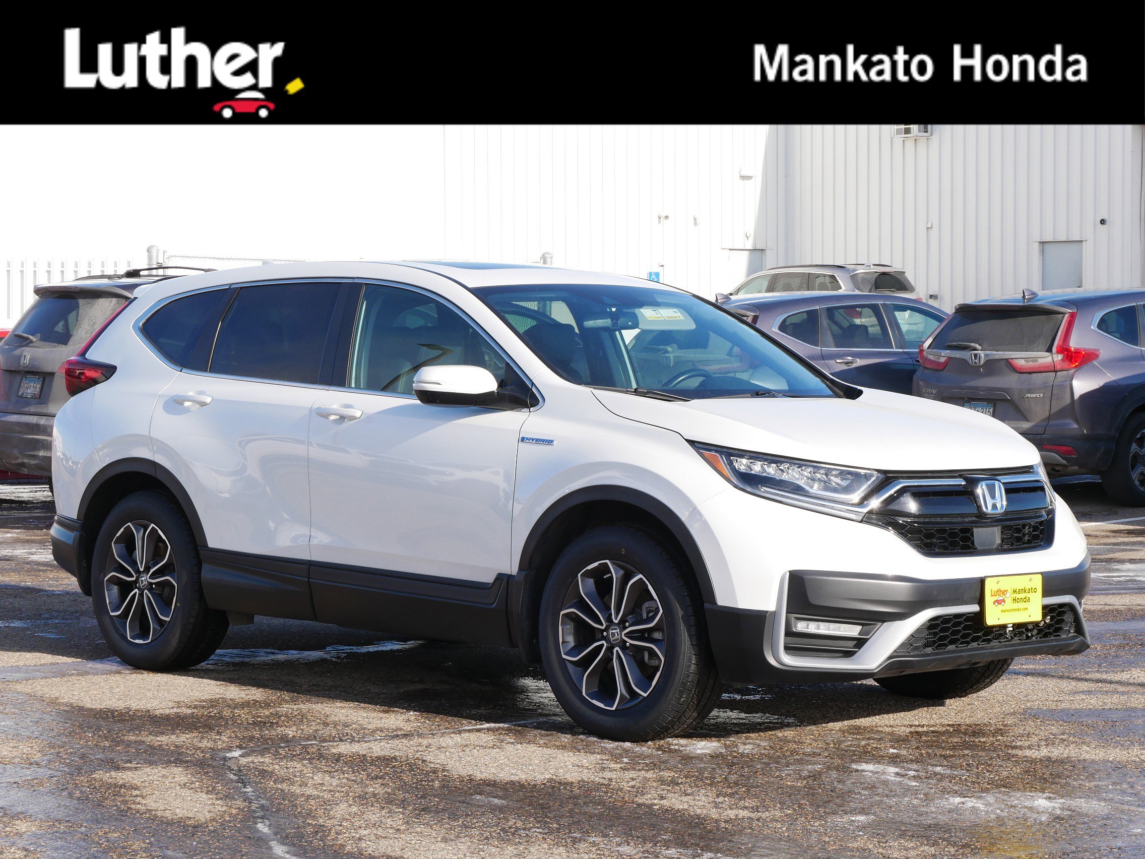 2020 Honda CR-V EX-L's photo