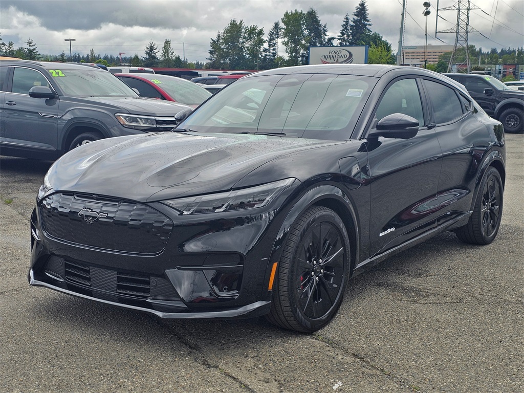 2025 Ford Mustang Mach-E GT photo 3