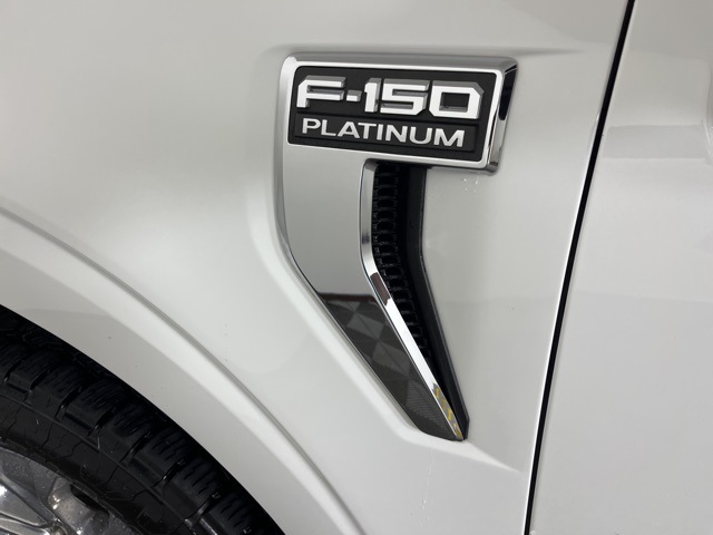 2021 Ford F-150 Platinum photo 8