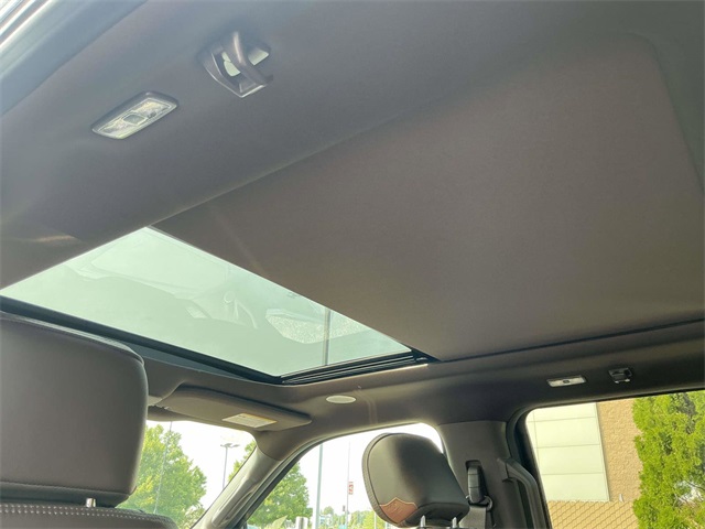 2024 Ford F-150 King Ranch photo 24