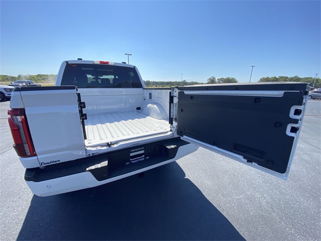 2025 Ford F-150 Platinum photo 28