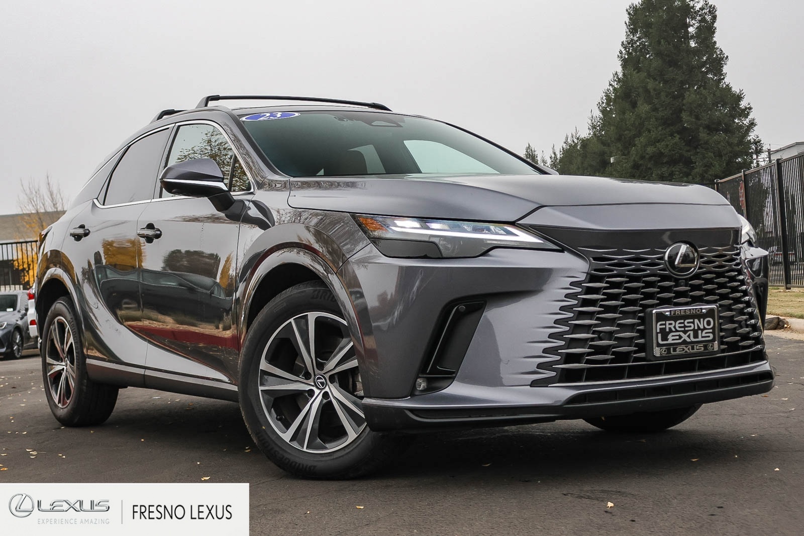 2023 Lexus RX 350's photo
