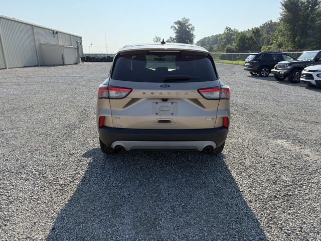 2020 Ford Escape SE photo 4