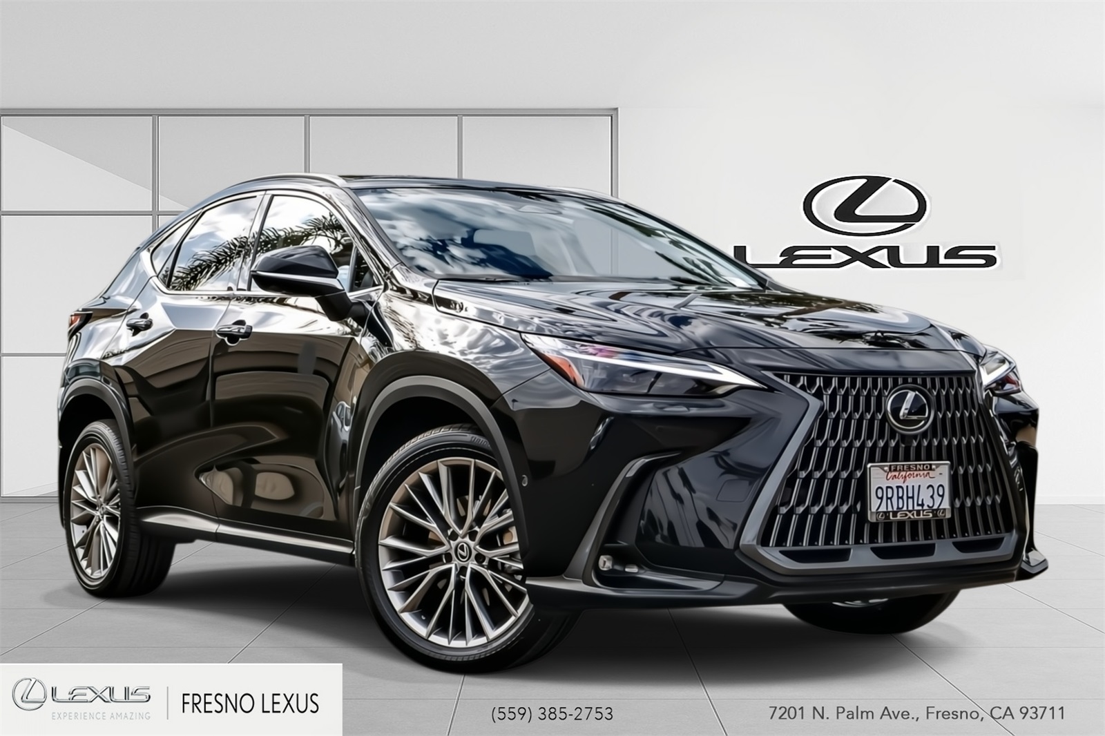 2025 Lexus NX Hybrid 350h's photo