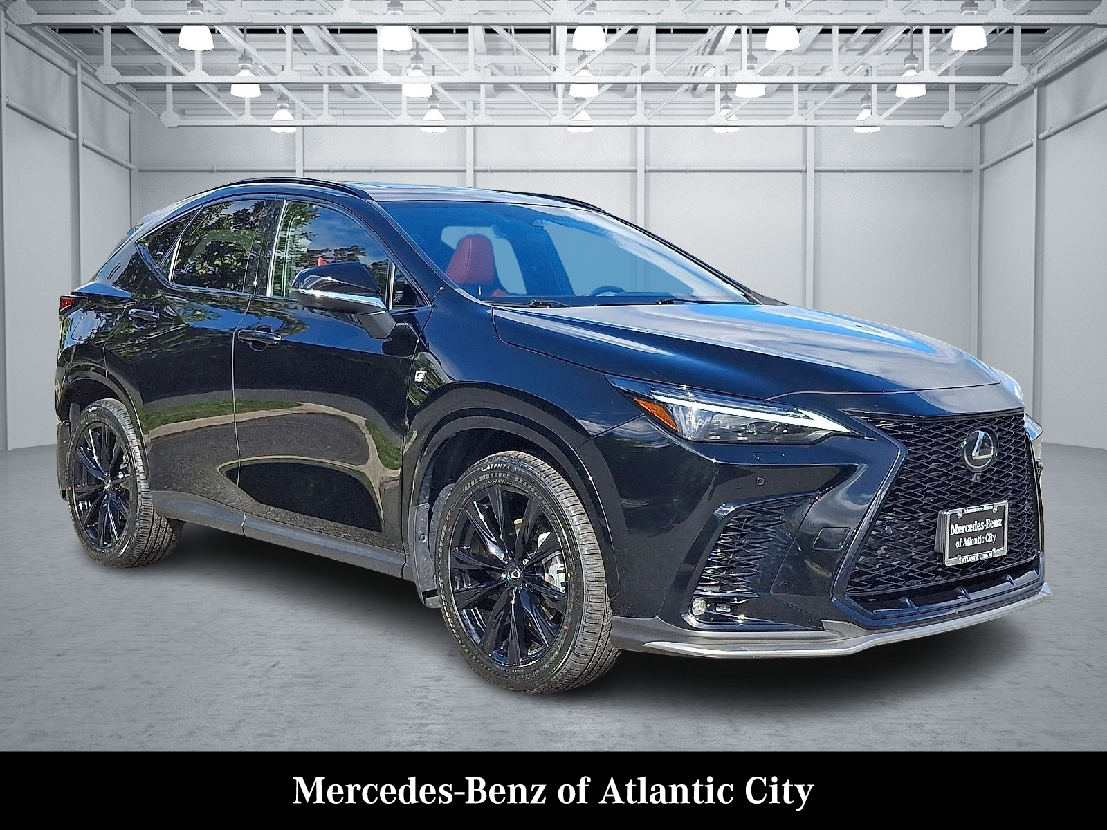 2024 Lexus NX PHEV 450h+'s photo