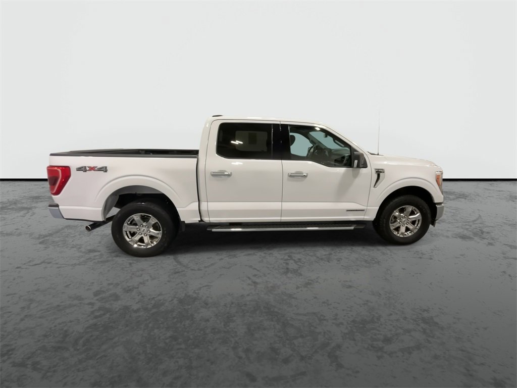 2021 Ford F-150 XL photo 9