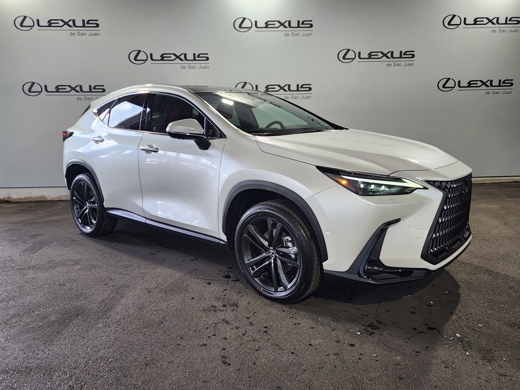 2025 Lexus NX 350h Premium AWD photo 3