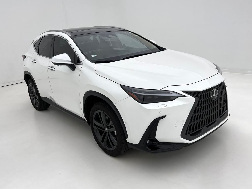 2025 Lexus NX 450h+ Luxury photo 2