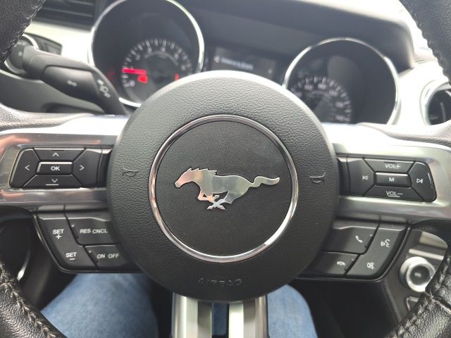 2015 Ford Mustang GT Premium photo 14