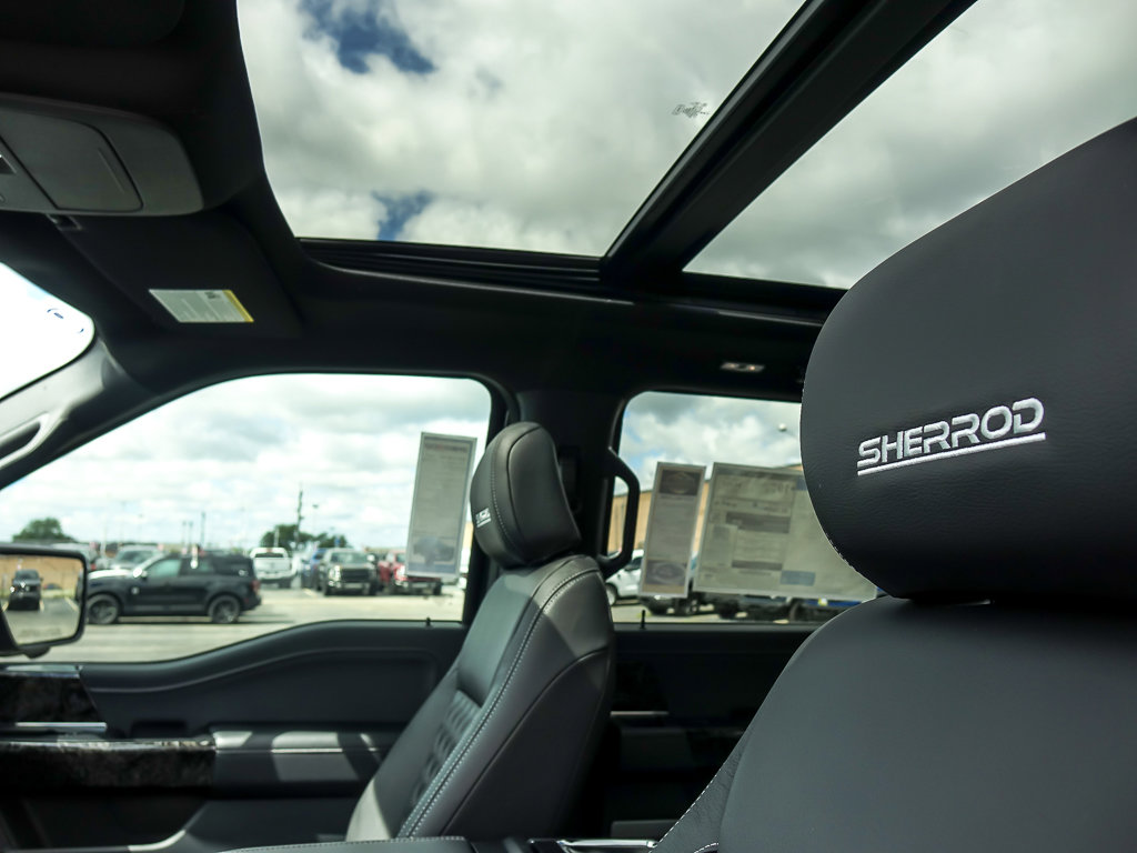 2025 FORD F-150 - Image 11