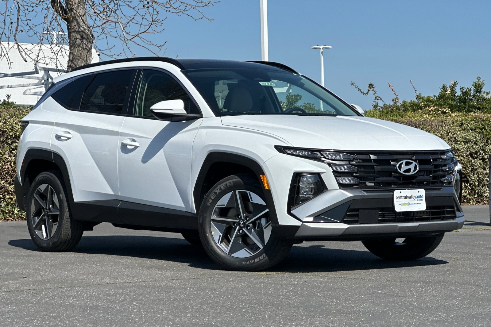 2025 Hyundai Tucson Hybrid SEL Convenience Sport photo 2