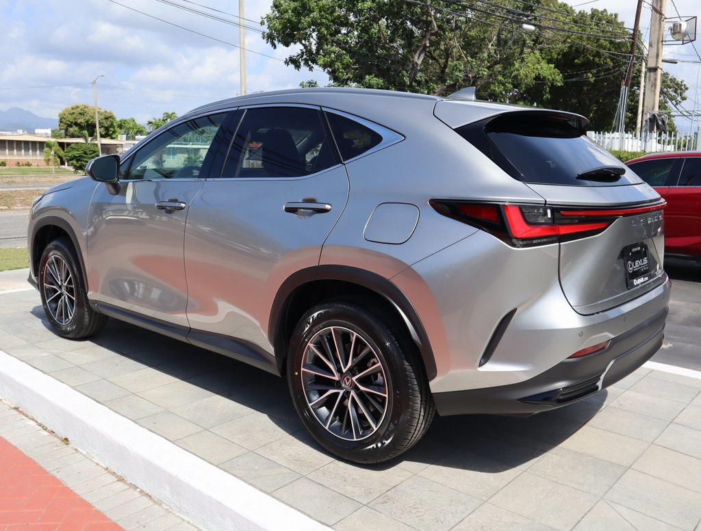 2025 Lexus NX 250 Premium photo 7