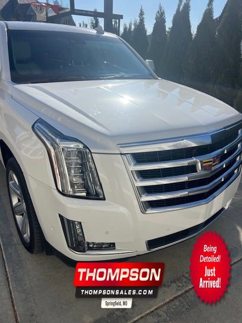 2019 Cadillac Escalade ESV Premium Luxury's photo