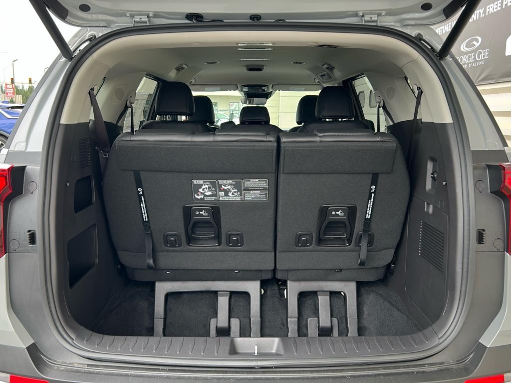 2026 Kia Carnival EX photo 10