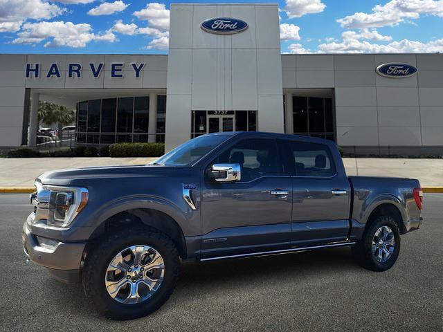 2022 Ford F-150 Platinum's photo