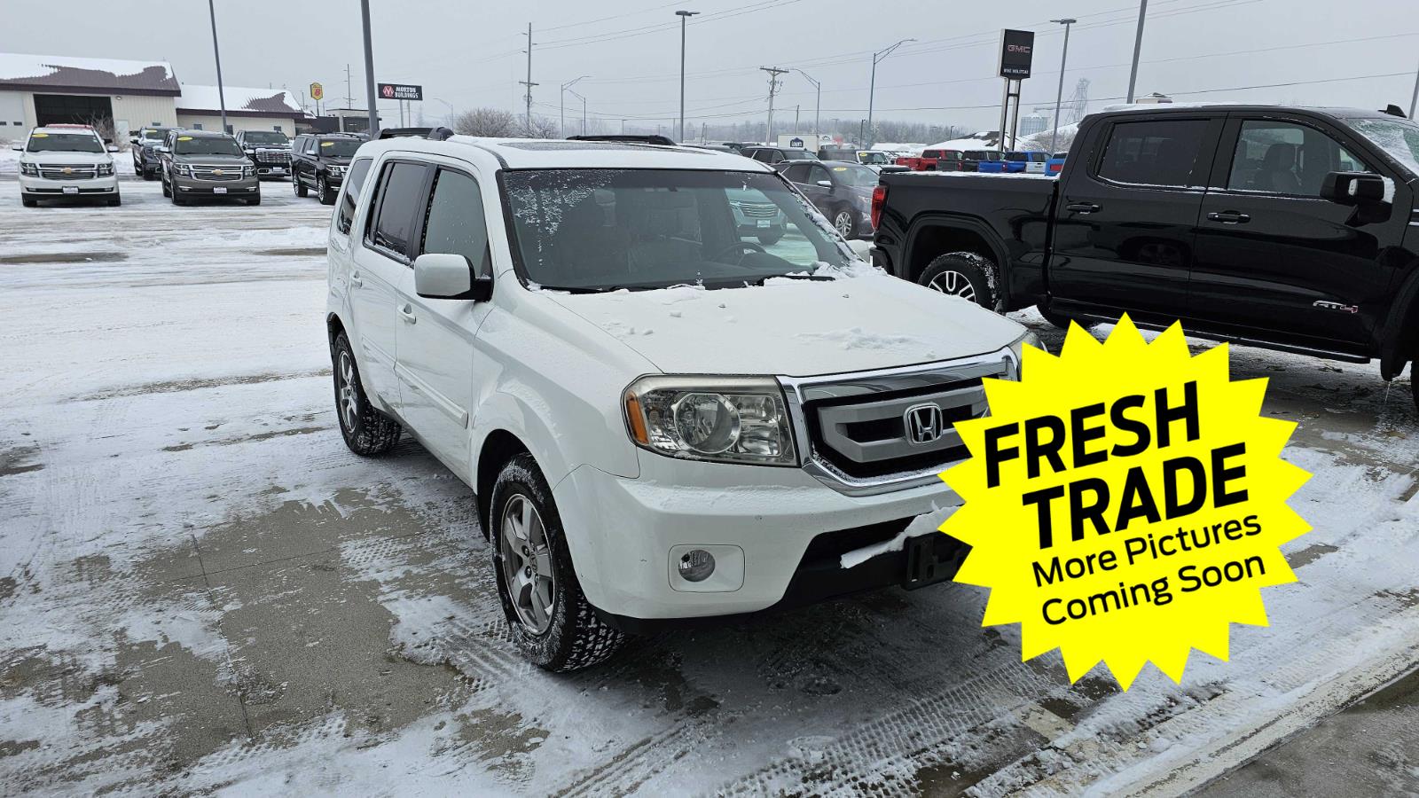 2009 Honda Pilot EX-L photo 3