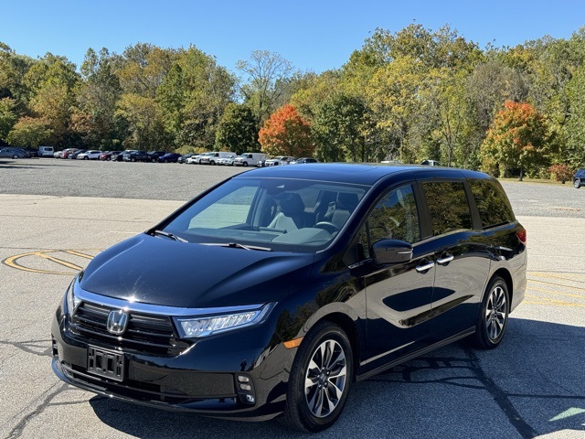 2024 Honda Odyssey EX-L's photo