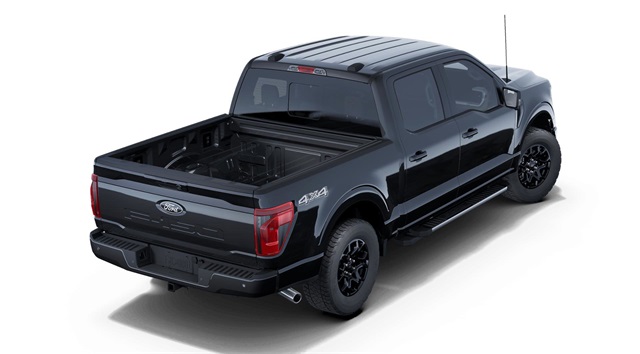 2025 FORD F-150 - Image 3