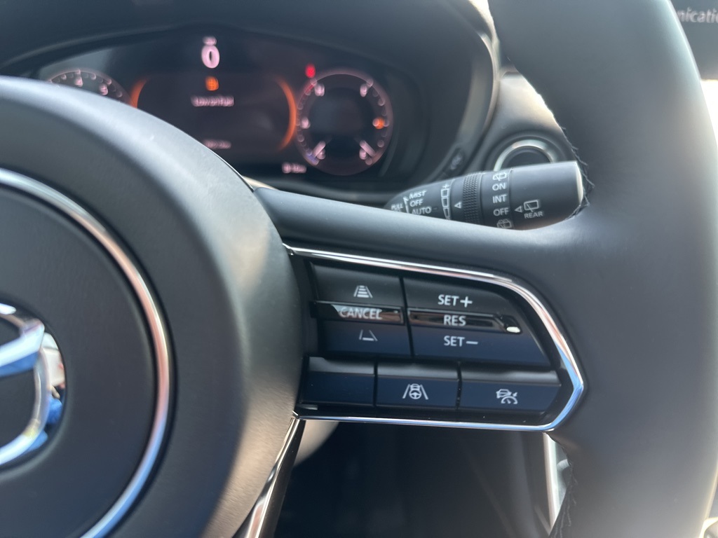 2025 Mazda CX-90 3.3 Turbo Premium Plus photo 16