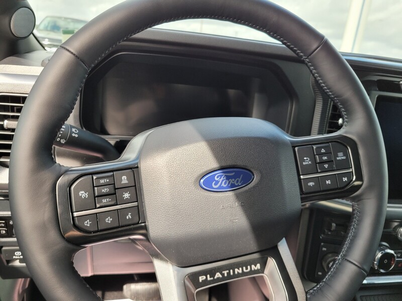 2025 Ford F-150 Platinum photo 20