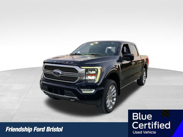 2021 Ford F-150 Limited's photo