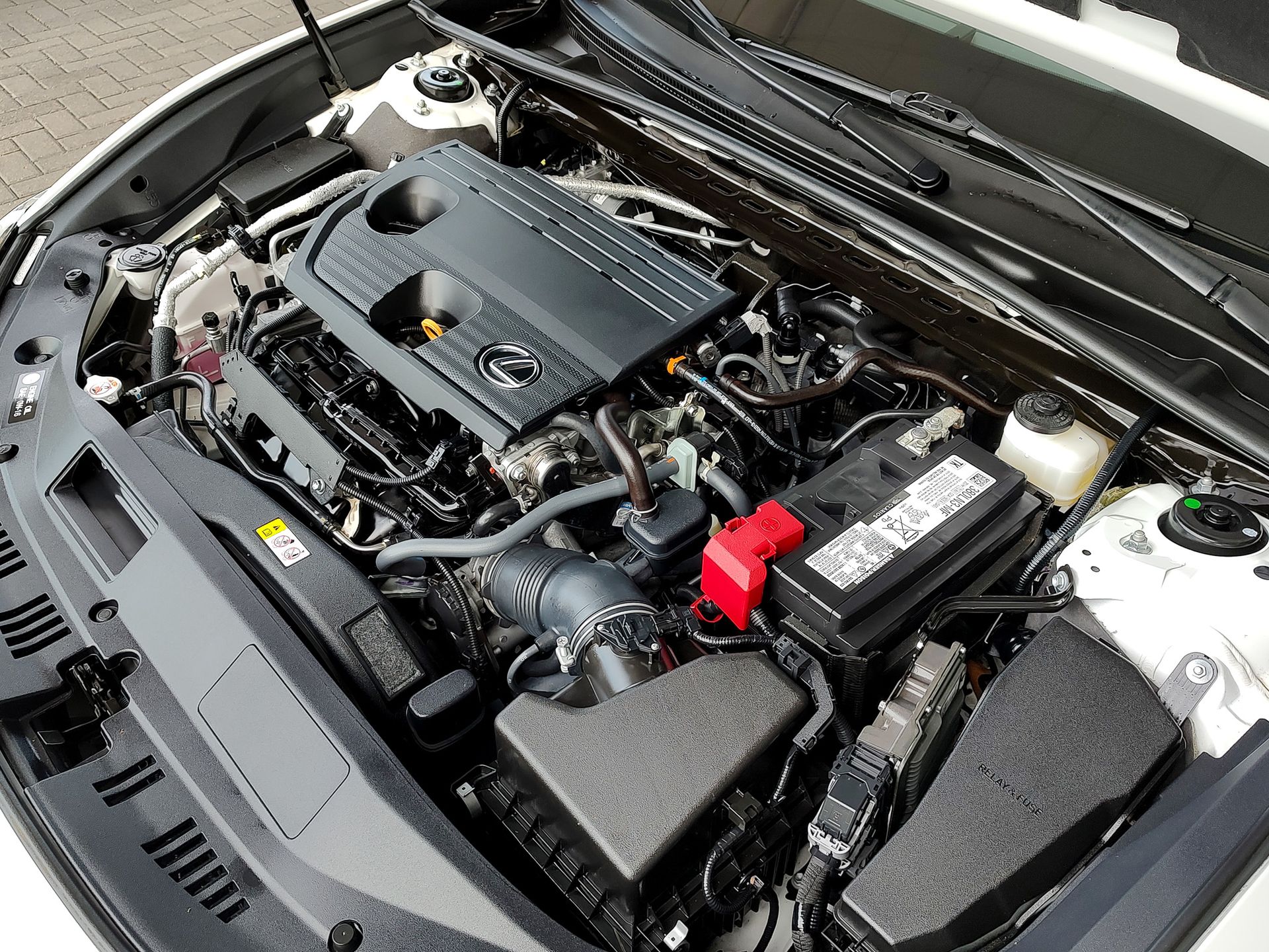 2023 Lexus ES 250 AWD photo 45