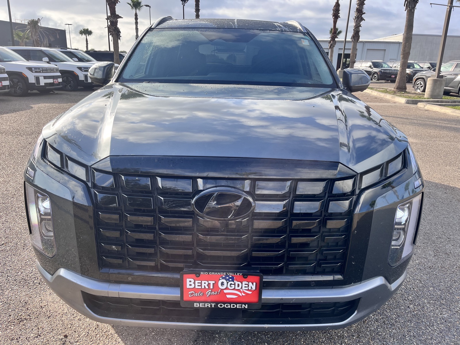 2024 Hyundai Palisade Limited's photo