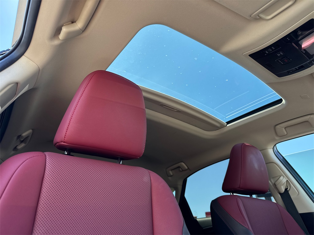 2018 Lexus NX 300h Luxury photo 15