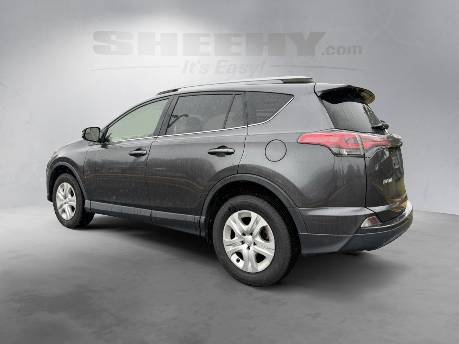 2017 Toyota RAV4 LE photo 2