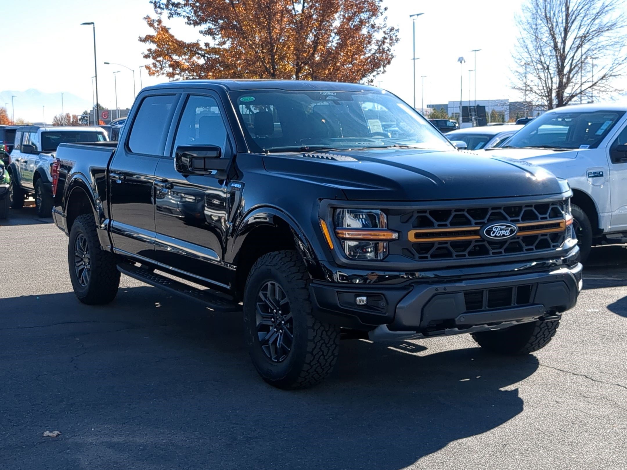 2025 Ford F-150 Tremor's photo