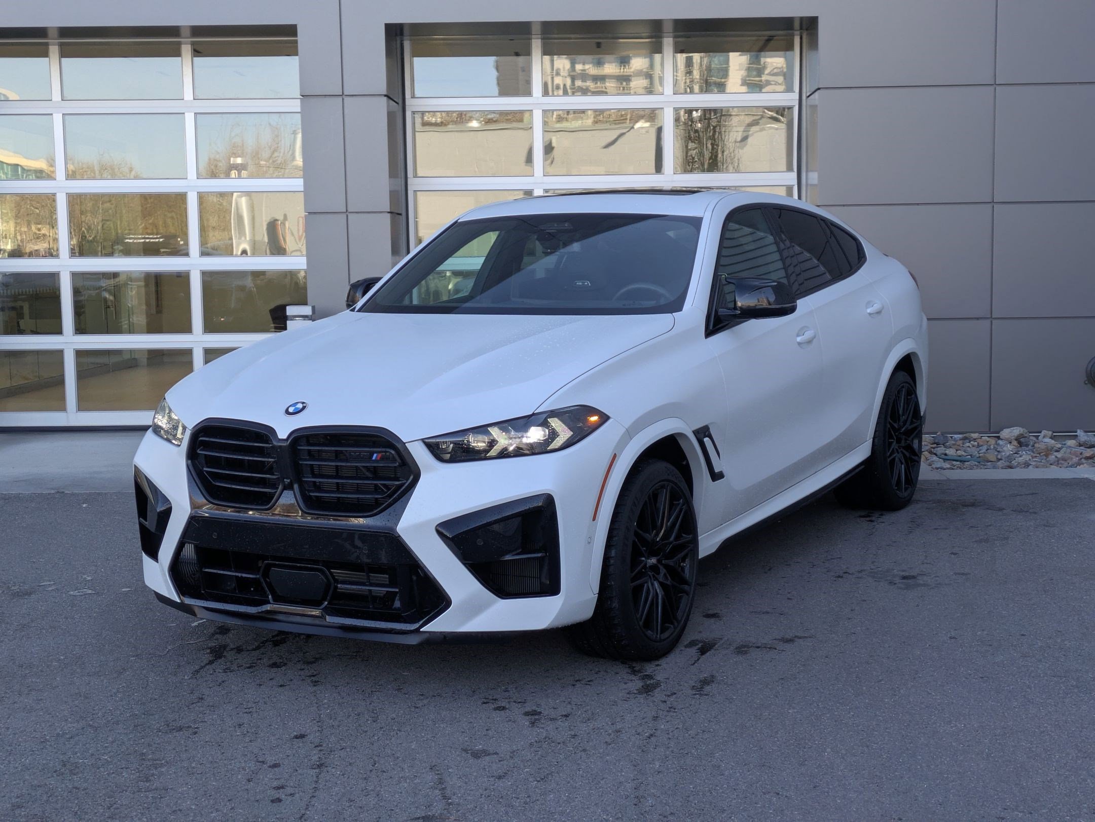2025 BMW X6 M X6 M's photo