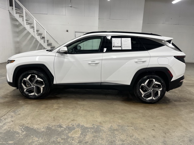 2023 Hyundai Tucson Limited photo 3