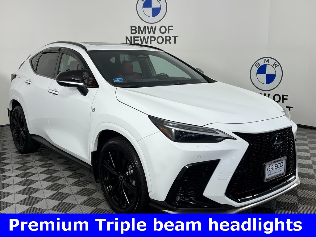 2024 Lexus NX PHEV 450h+'s photo