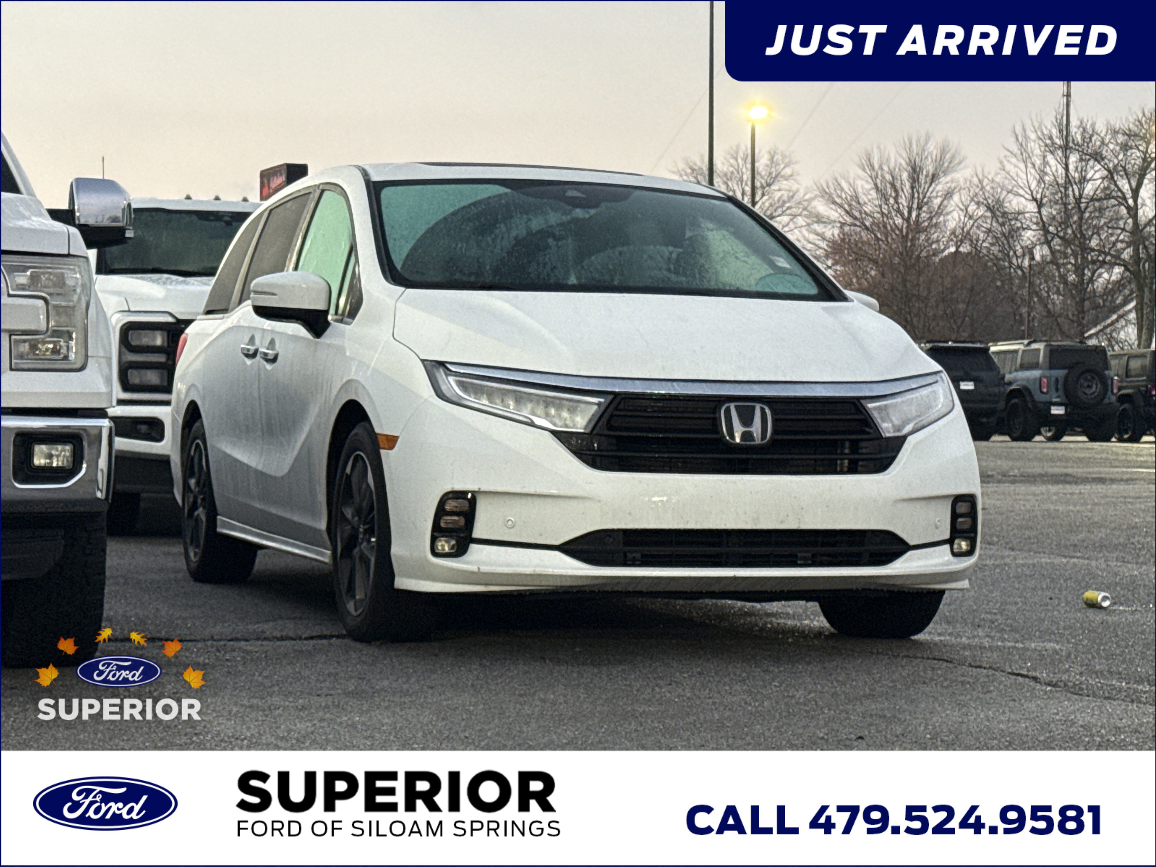 2023 Honda Odyssey Elite's photo