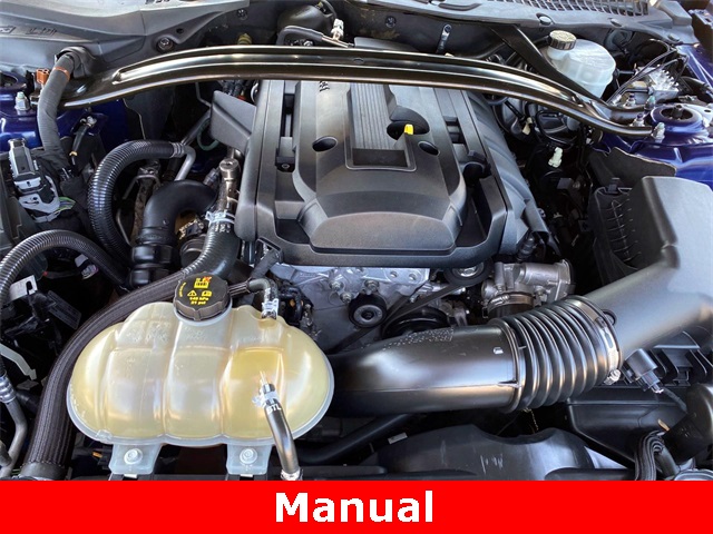 Used 2019 Kona Blue Ford EcoBoost Premium image 21