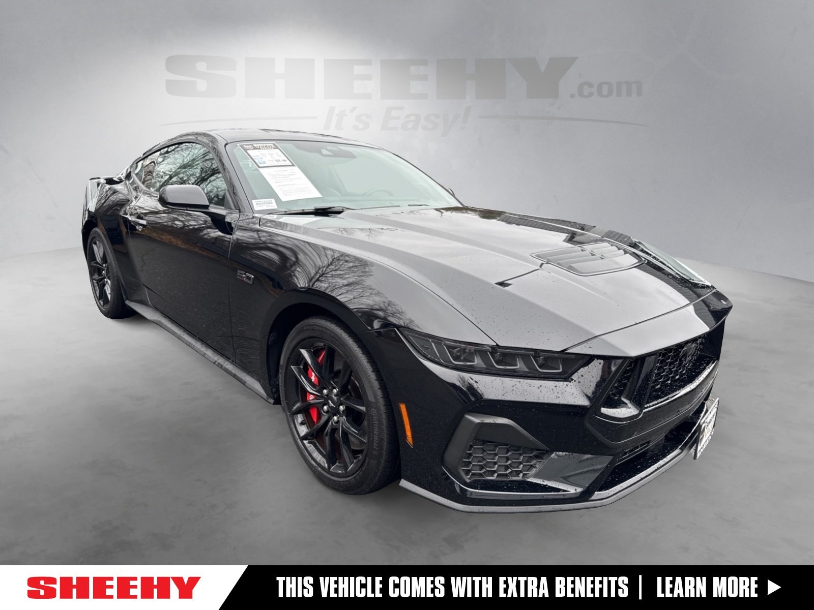 2024 Ford Mustang Mach 1's photo