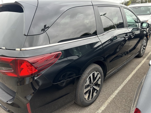 2025 Honda Odyssey EX-L photo 3