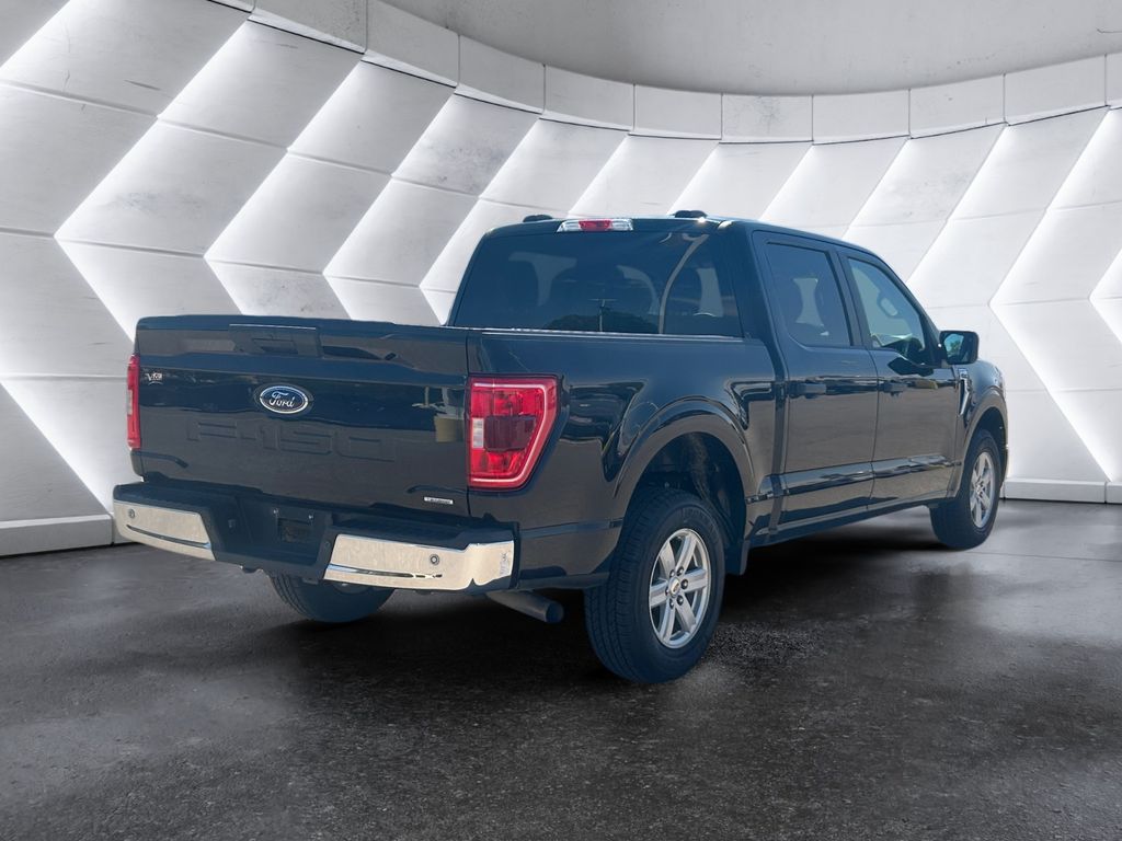 2023 Ford F-150 XLT photo 3