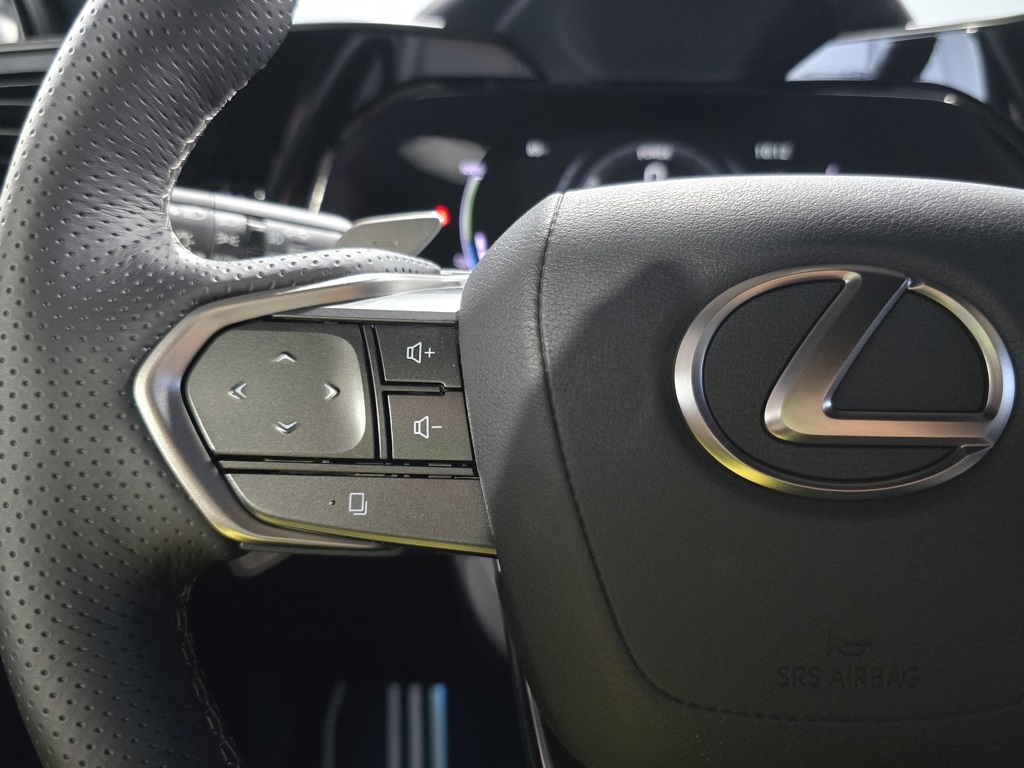 2025 Lexus NX 450h+ F SPORT photo 15