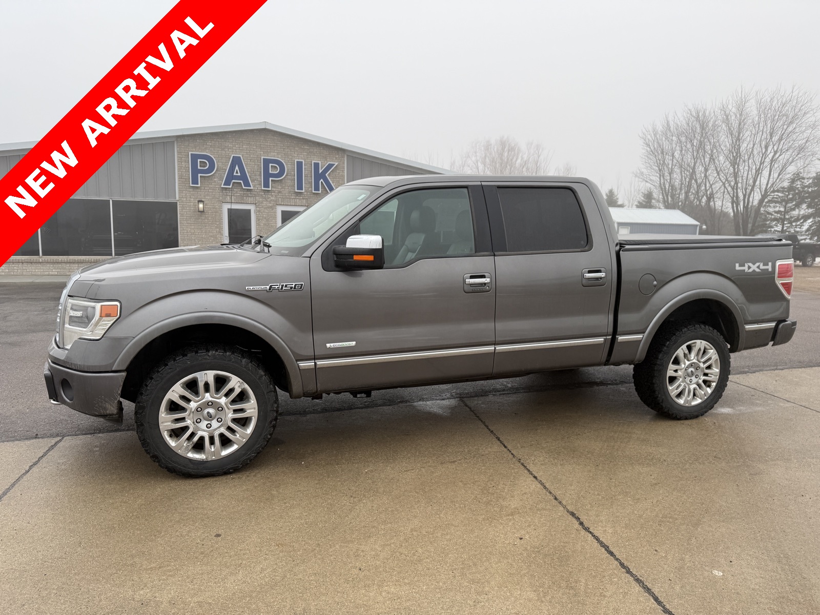 2013 Ford F-150 Platinum