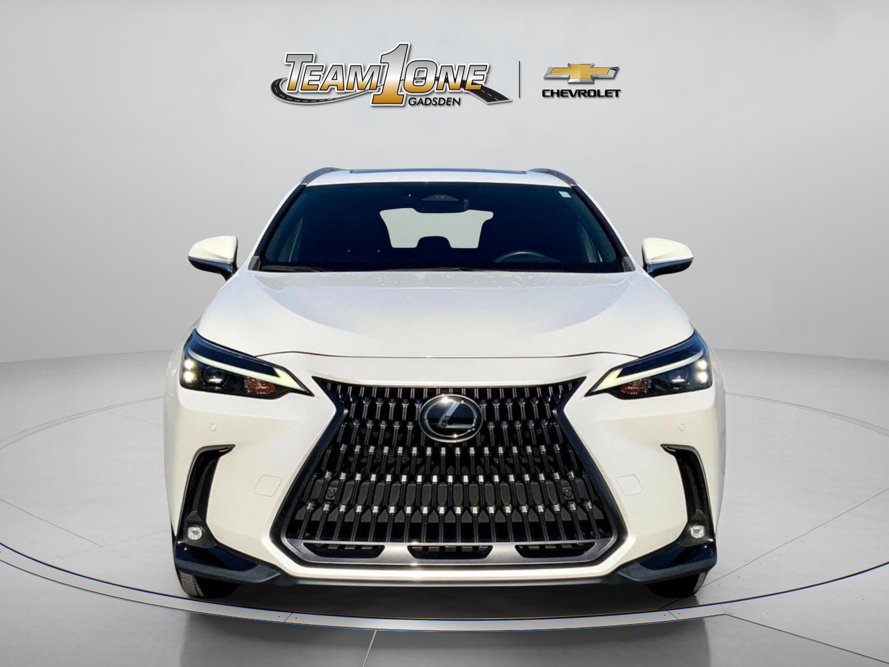 2024 Lexus NX 250 Premium photo 2