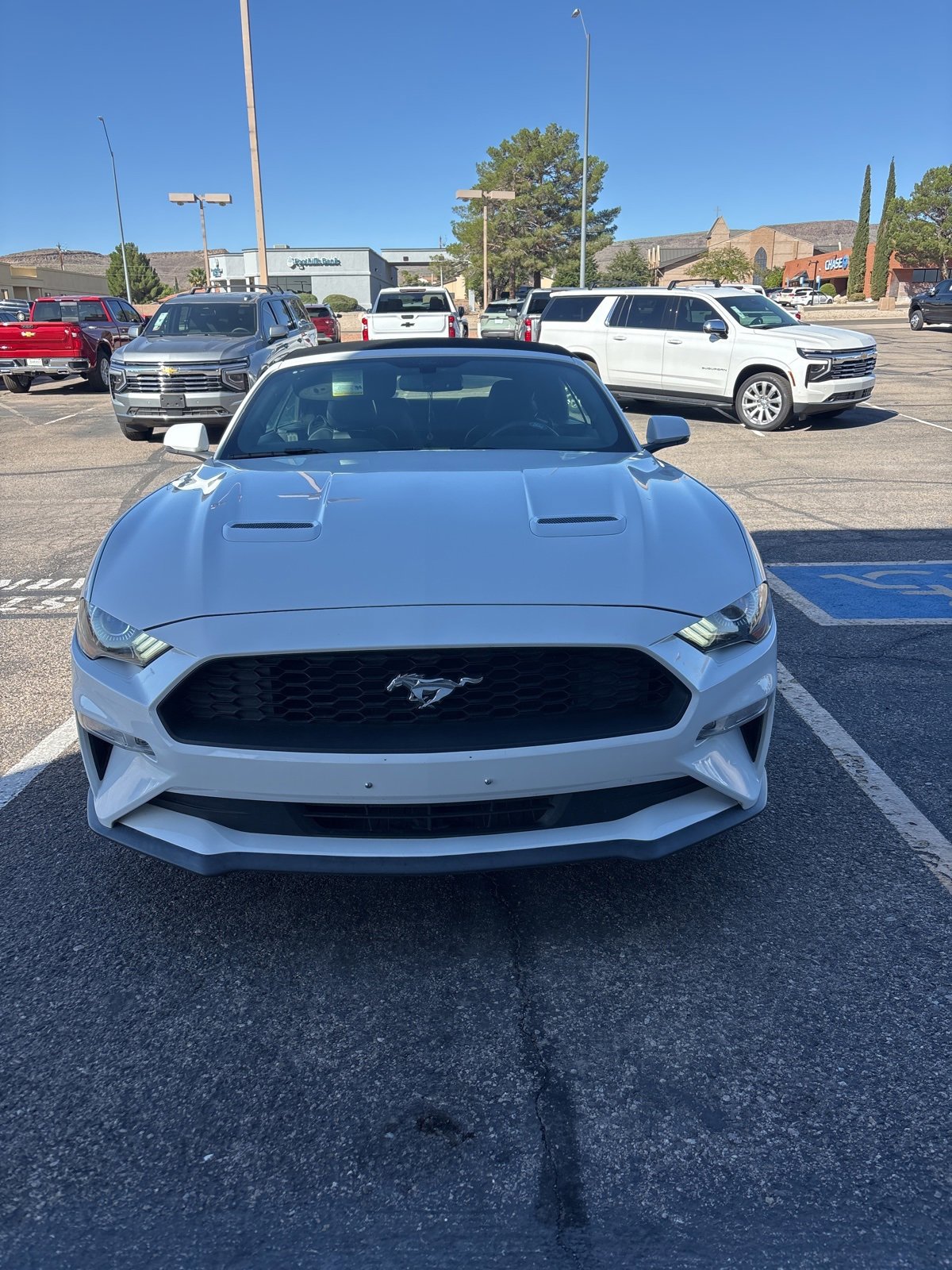 2019 Ford Mustang EcoBoost Premium photo 2