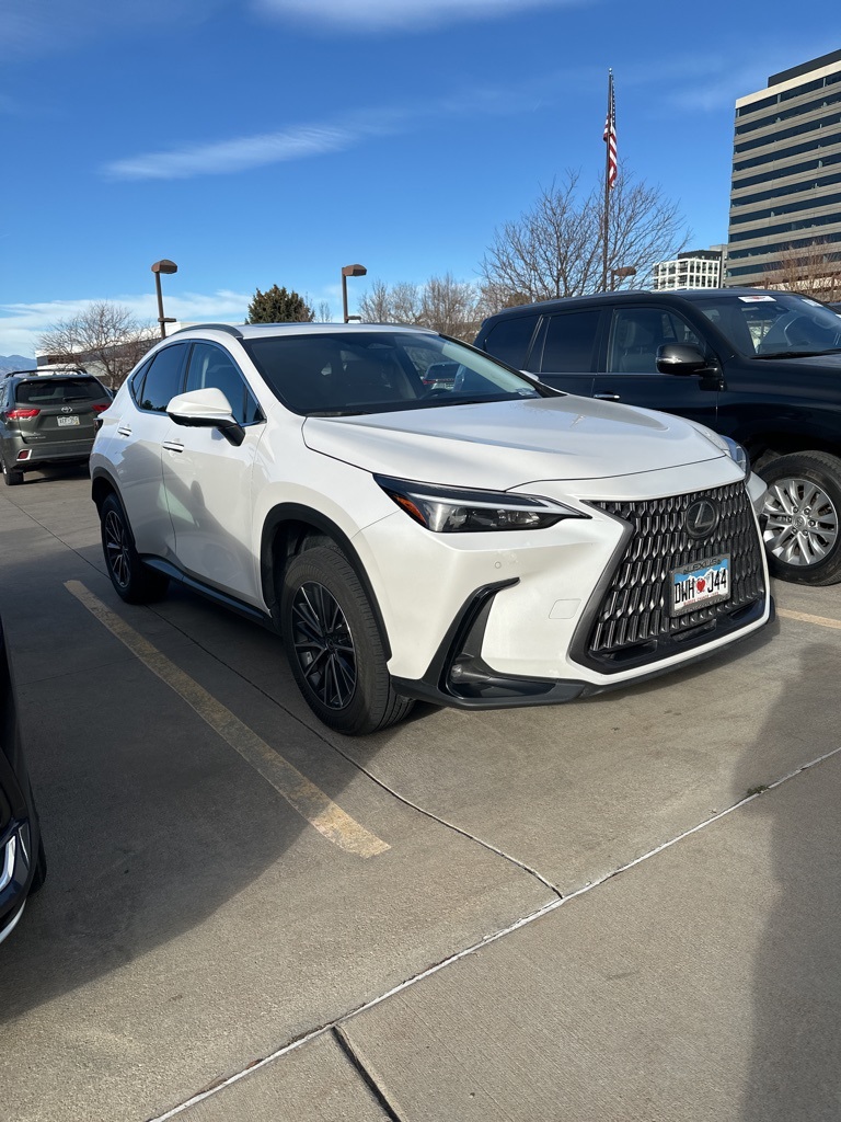 2024 Lexus NX Hybrid 350h's photo