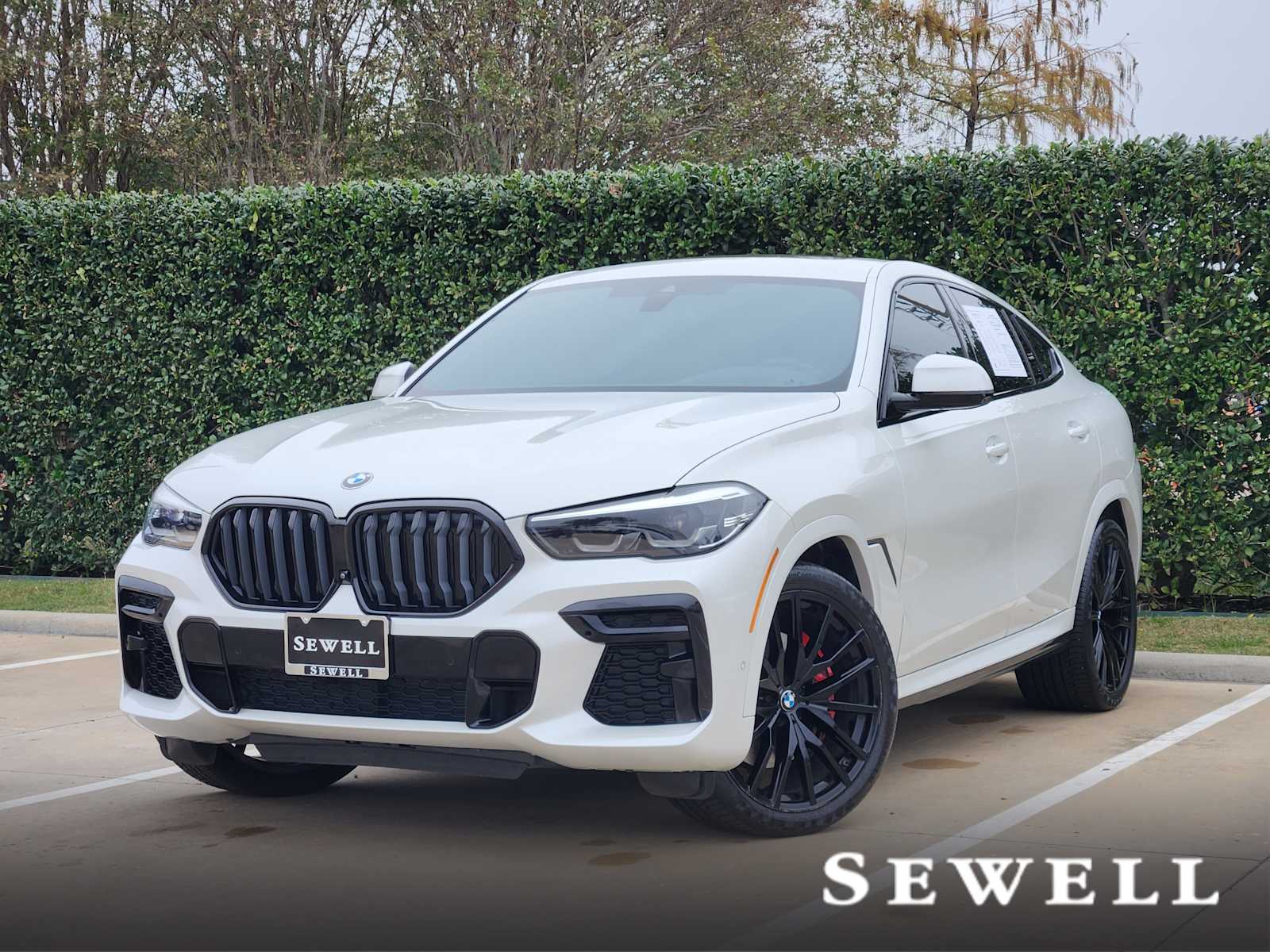 2023 BMW X6 40i's photo