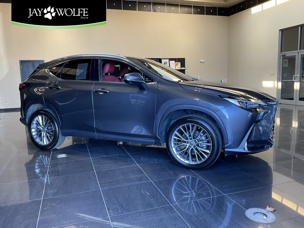2023 Lexus NX 350's photo
