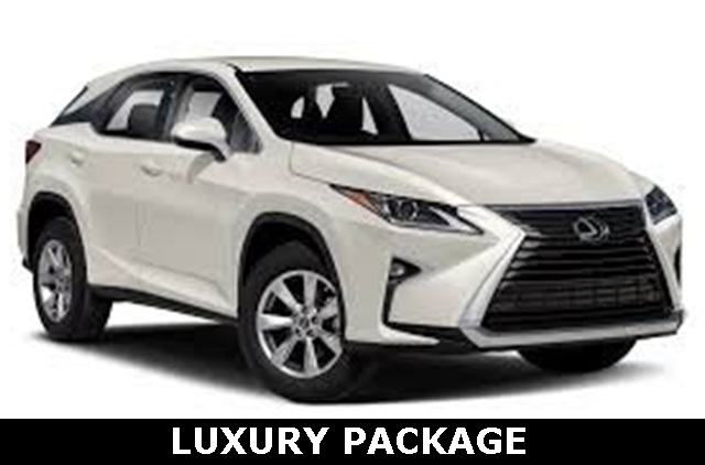 2019 Lexus RX 350's photo