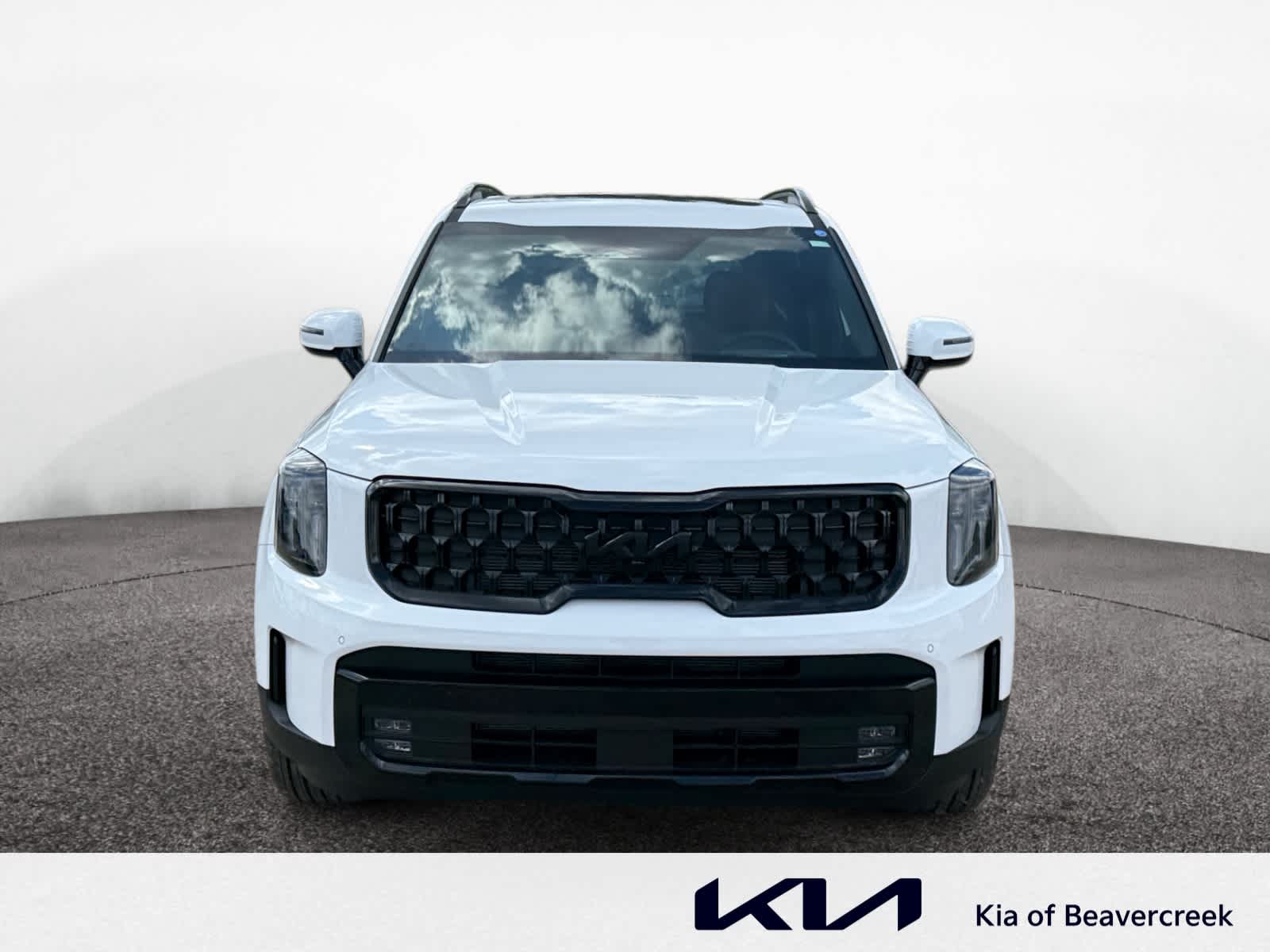 2025 Kia Telluride SX Prestige X-Line photo 7